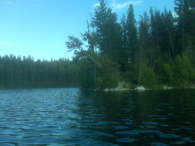 The Rope Swing At Roache Lake July 2010